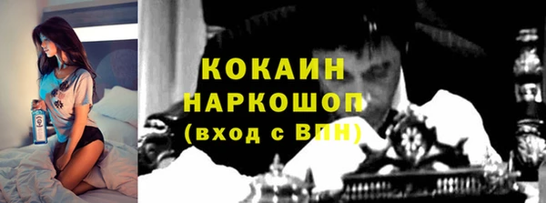 мет Арсеньев