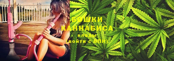 мет Арсеньев