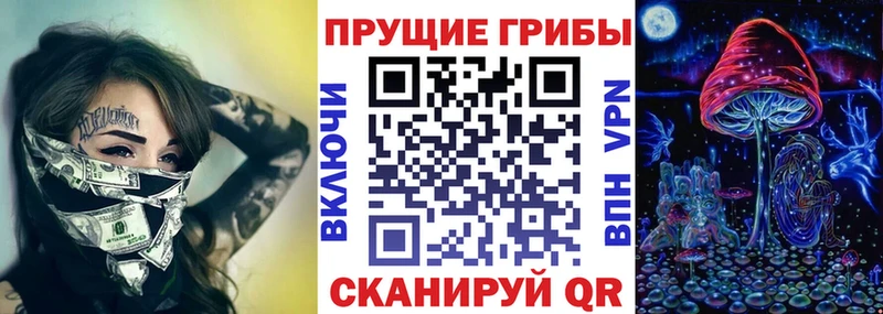 купить наркотики цена Нижняя Салда Галлюциногенные грибы MAGIC MUSHROOMS